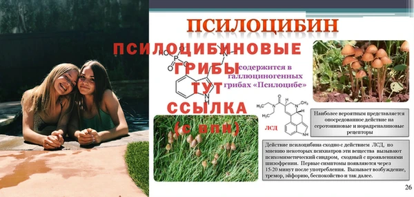 а пвп мука Арсеньев