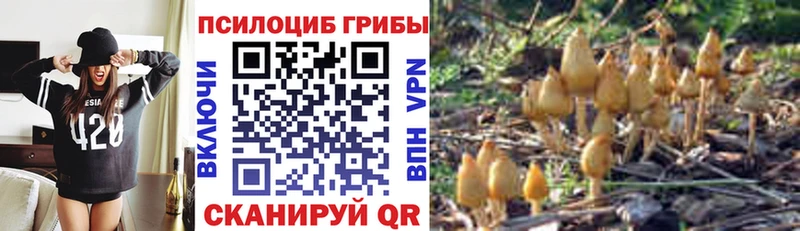 Псилоцибиновые грибы ЛСД  хочу   Мариинский Посад 